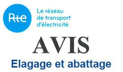 actu_elagage-250x146