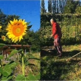 jardinspartages