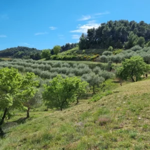 Hautimagne vue