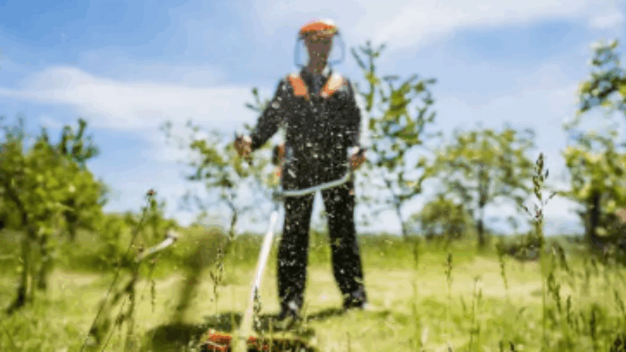 Capture d'écran 2025-06-03 123223