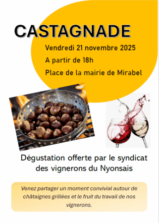 Capture d'écran 2025-11-13 100829